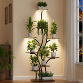 BACEKOLL front view of corner plant stand showing compact display benefit