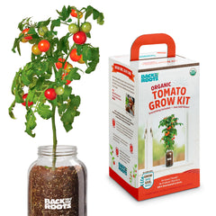 Back to the Roots front packaging showing complete cherry tomato kit and benefits
