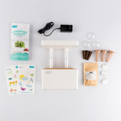 Back to the Roots on a kitchen counter with growing herbs showing fresh harvest benefit