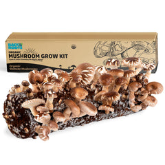 Back to the Roots front packaging showing organic shiitake kit benefits