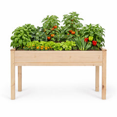 Backyard Expressions wooden raised garden bed front view showing sturdy frame and planting area
