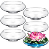 Baderke front view clear glass bowl showing minimalist decor benefit