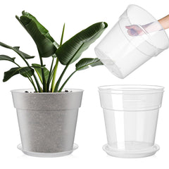 Baderke front view clear nursery pot showing full profile and sturdy rim, promotes easy handling