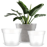 Baderke front view of three clear nursery pots showing sizes and trays, for easy plant care