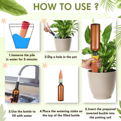 Baderke spike inserted in pot demonstrating root-zone hydration for healthier plants