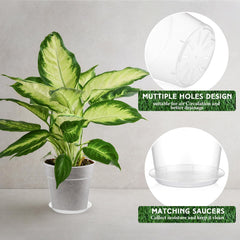 Baderke pot seated in its tray side profile showing stability and spill control benefit