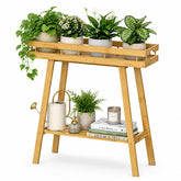 BAMBANG front view of two-tier bamboo plant stand showing neat vertical display benefit