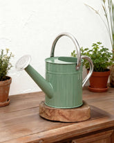 Bamworld front view green watering can showing vintage finish and compact size, stylish utility