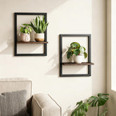Bamworld front view showing multiple hanging planters and vertical greenery for space saving