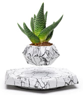 BandD levitating marble pot front view showcasing elegant floating display