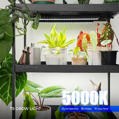 Close-up of Barrina LED array reveals densely packed diodes for high usable plant light