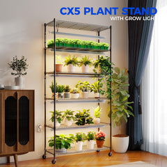 Barrina CX6 top shelf closeup showing metal rack and plant placement benefit