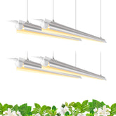 Barrina front view of 4-pack showing full lighting coverage and efficient design