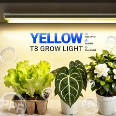 Barrina closeup of LED array highlighting high PPFD for stronger growth