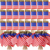 Batiyeer front packaging showing bulk box and flags, great for event organizers
