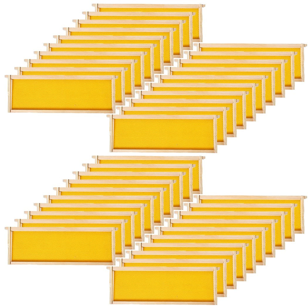 BeeCastle front packaging showing 40-pack frames and foundations, clear inventory benefit