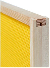 BeeCastle frame alongside hive box for scale, helps confirm correct dimensions