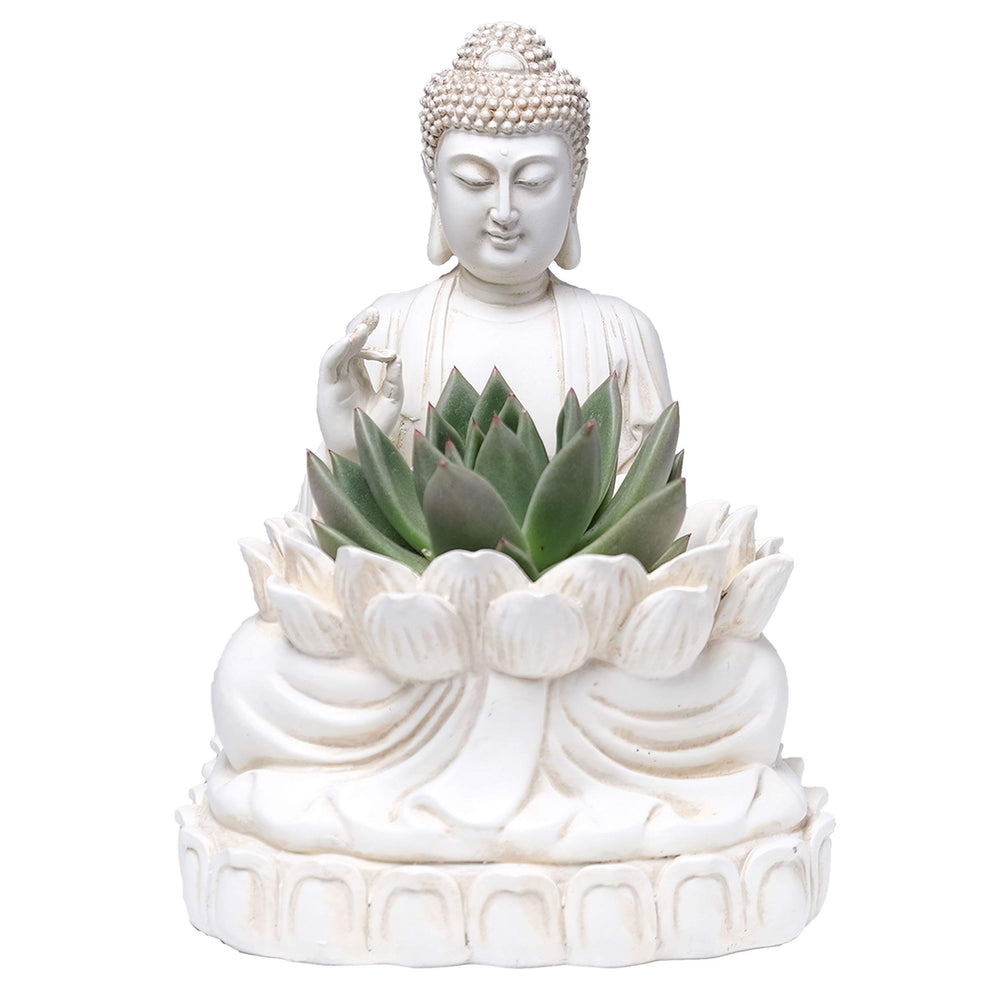 BELLA HAUS DESIGN frontal Buddha planter showing serene lotus style and decorative appeal