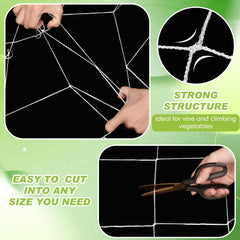Berlune long rolled netting laid out illustrating ample coverage for rows