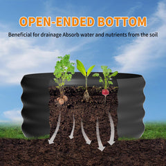 Besebay open-bottom view showing drainage design and healthy root access benefit