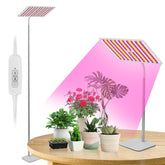BESTVA front view with stand showing full lamp and coverage benefit
