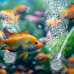 Biling bubble pattern in pond illustrating improved surface movement and oxygenation