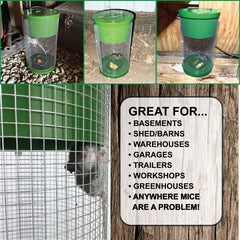 Billy-Bob bait tray close-up showing easy-fill, attracts mice