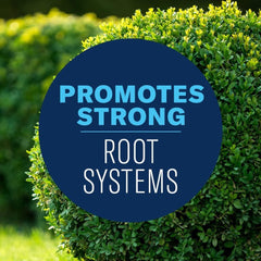 BioAdvanced granules watered into soil at root zone, systemically absorbed