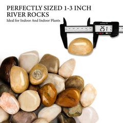 BIOMAND smooth polished surface close-up displaying rounded pebbles that protect roots and improve drainage