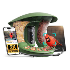 Birdfy front view showing sleek feeder design and camera for clear backyard viewing
