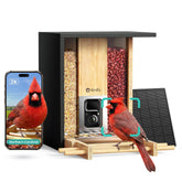Birdfy front view showing bamboo feeder and camera, elegant backyard focal point