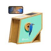 Birdfy front view showing camera and entrance, clear observation benefit