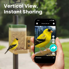 Birdfy full-color night vision sample showing nocturnal bird visibility