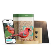 Birdfy front view showing feeder and camera, clear bird-watching benefit