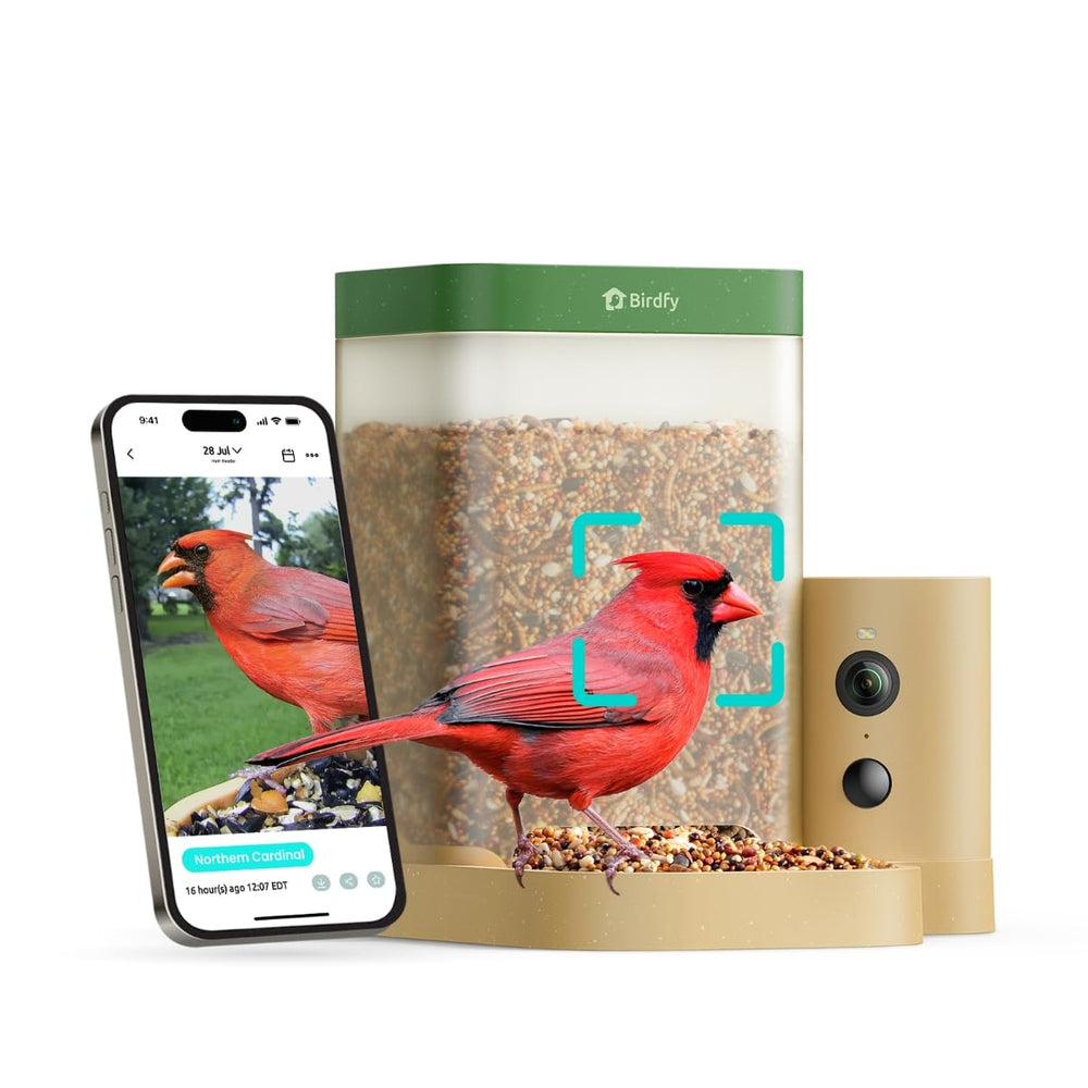 Birdfy front view showing feeder design and accessible tray benefit