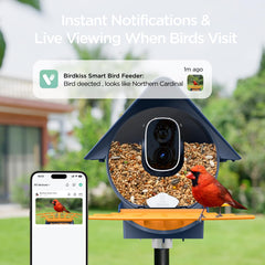 Birdkiss camera lens close-up highlighting clear 1080p capture quality