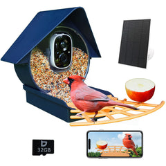 Birdkiss front view showing feeder and camera for easy backyard observation
