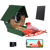 Birdkiss front view showing olive green feeder and camera, attracting birds easily