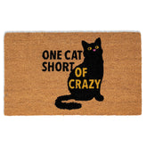 BIRDROCK HOME front view doormat showing welcome design and protection