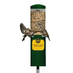 Birds Choice front view of pole-mounted feeder showing stable setup and access