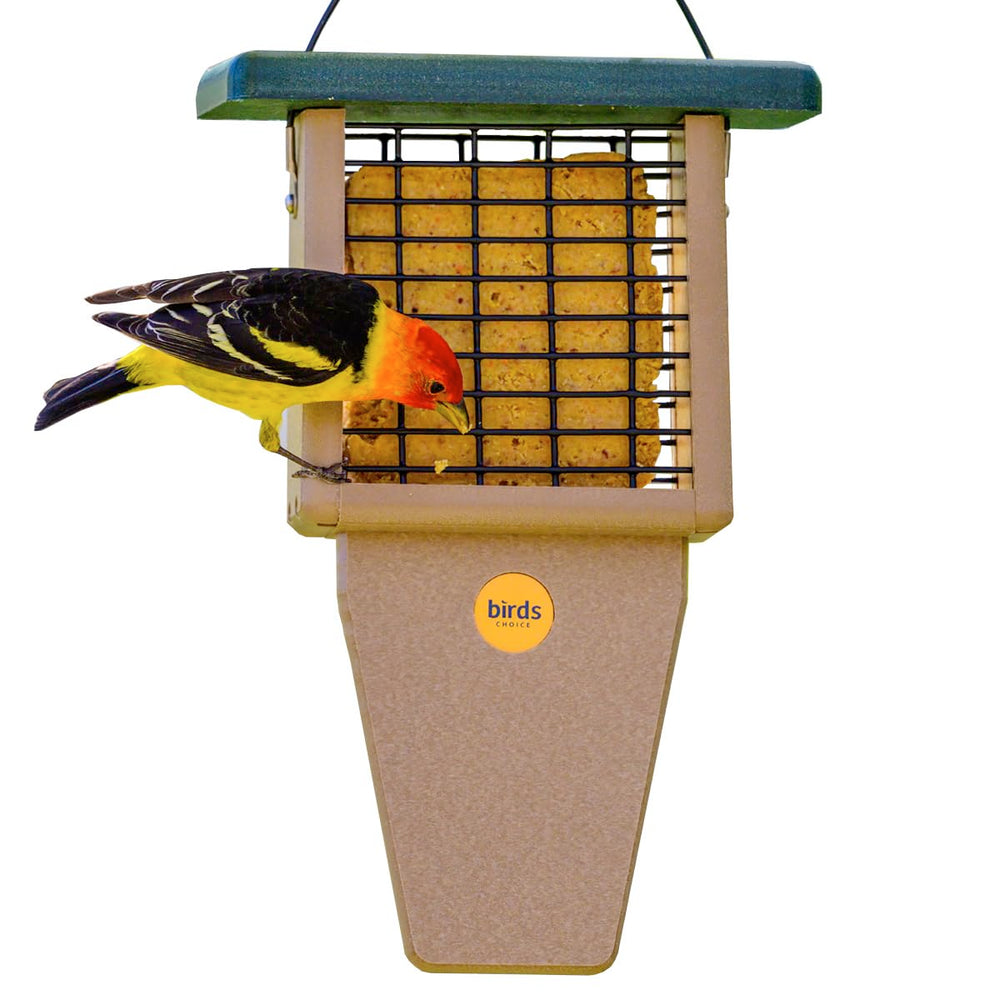 Birds Choice front view showing taupe body and green roof, durable outdoor feeder benefit