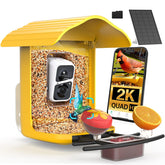 birdsnap front view showing feeder and camera, clear monitoring benefit