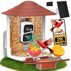 birdsnap TUC front view showing feeder and camera recording benefit