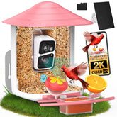birdsnap TUC front view showing feeder and camera, clear observation