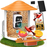 birdsnap TUC front view showing feeder and camera for clear backyard monitoring
