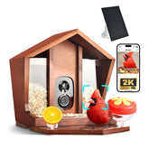 Birdster front view showing feeder and camera, clear monitoring benefit