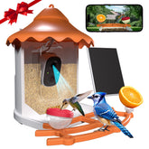 BirdsView front feeder and 2K camera showing clear viewing benefits