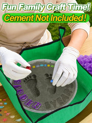 Biubee transparent 10-inch mold close-up for precise placement benefit