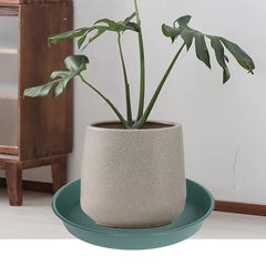 Bleuhome used as bird bath attracting birds and garden charm