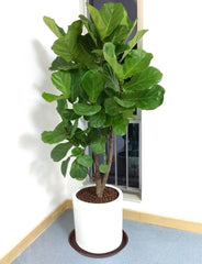 Bleuhome close-up of matte PP texture highlighting durable finish